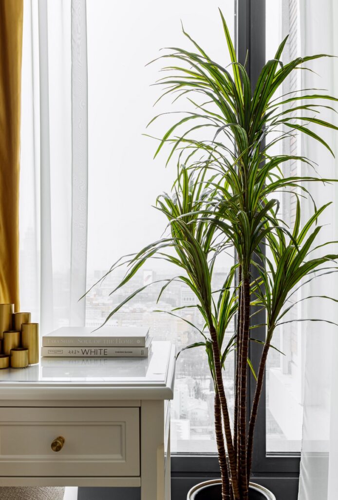 Современная классика с акцентами