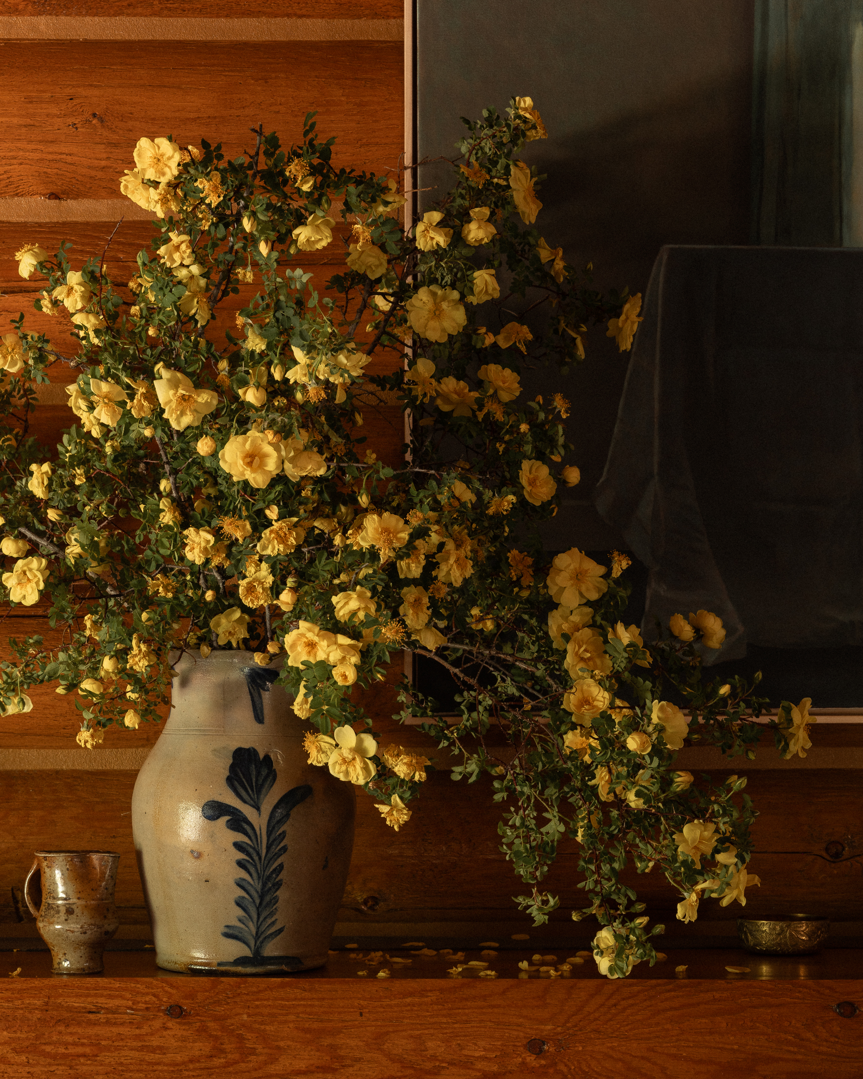 Пространство комфорта в Монтане