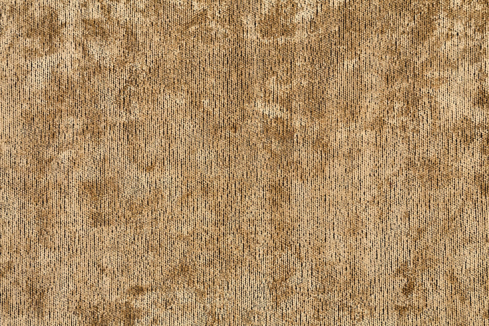 VISIONER KU-M0127-BIEGE