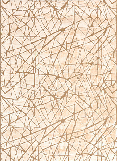 VISIONER KU-3019-BEGIE