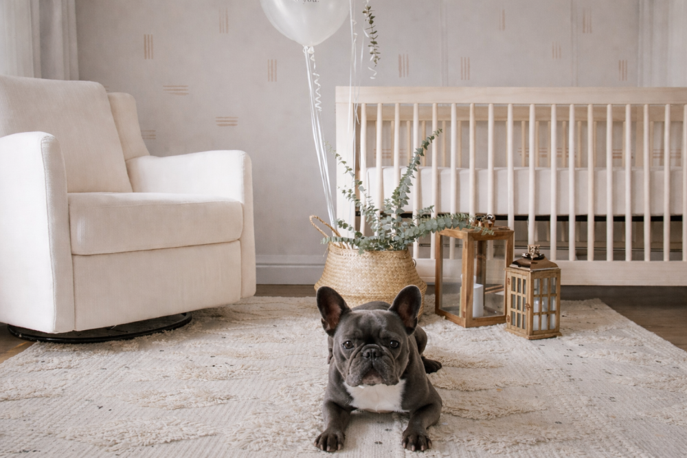 Ковёр для дома с детьми и питомцами